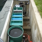 Biologický filtračný systém pre moderne pojaté jazierko vo Vrútkach.