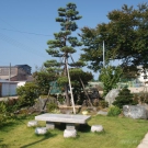 Sitting in Japanese small garden.