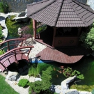 Garden pond with Koi carps in seat of NUMA company.