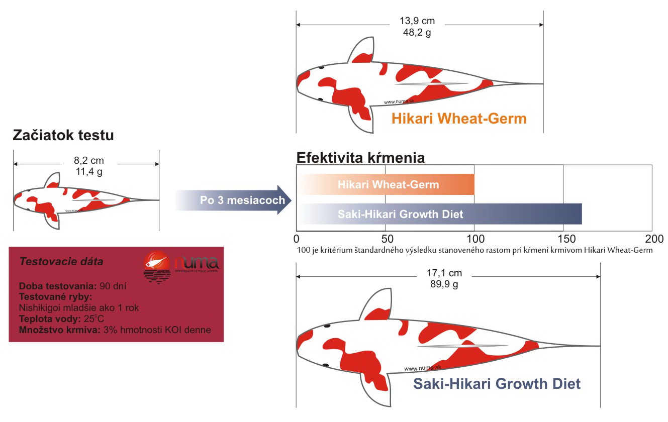 Vplyv výberu krmiva na rast KOI