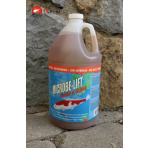 Microbe-Lift Clean & Clear 4 l