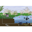 FIAP BioScreen Pumped