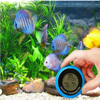 Aquarium thermometer with sensor