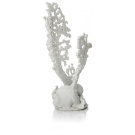 biOrb Fan coral ornament medium white
