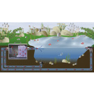 FIAP BioScreen Gravity