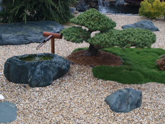 Japanese Tsukubai well