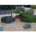 Japanese Tsukubai well