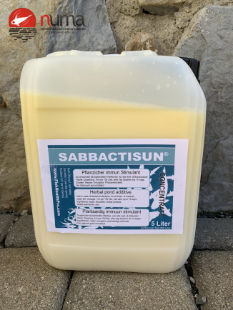 SABBACTISUN Herbal Immune Stimulant 5l