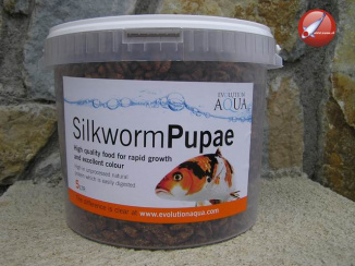 Evolution Aqua Silk Worms Pupae