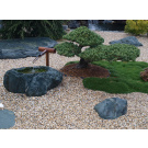 Japanese Tsukubai well