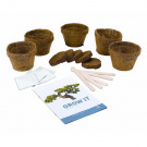 Grow It - Bonsai Trees