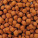 AL-Profi Futter Orange 6 mm