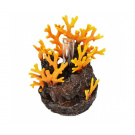 biOrb Lava rock with fire coral ornament