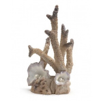 biOrb Coral ornament large