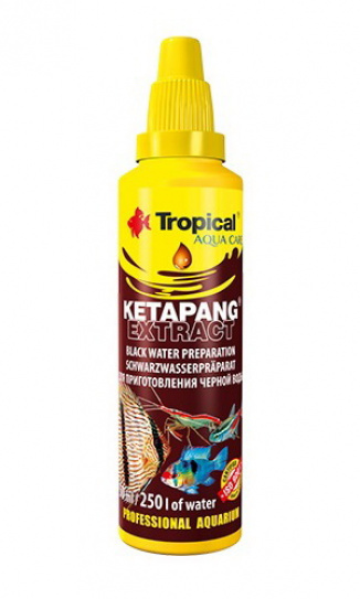Tropical Ketapang Extract 50 ml