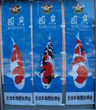 KOI flags