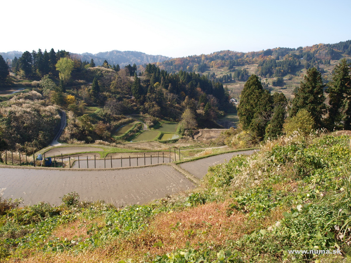 Fotografie z jesennej cesty Japonsko 2014 • NUMA.sk