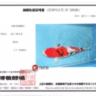 Certifikát pôvodu pre KOI kapra druhu Sanke veľkosti 65 cm od chovateľa Maruhiro.