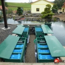 Realizácia celej japonskej záhrady s jazierkom pre KOI kapre s veľkým filtračným systémom s ohrevom vody pre japonské kOI kapre.
