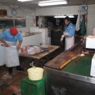 Porcovanie tuniaka robia najskúsenejší pracovníci.