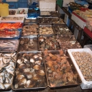 Ryby a morské plody v ponuke u jedného z mnohých veľkoobchodníkov.
