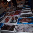 Na trhu sú v ponuke nespočetné druhy rýb.