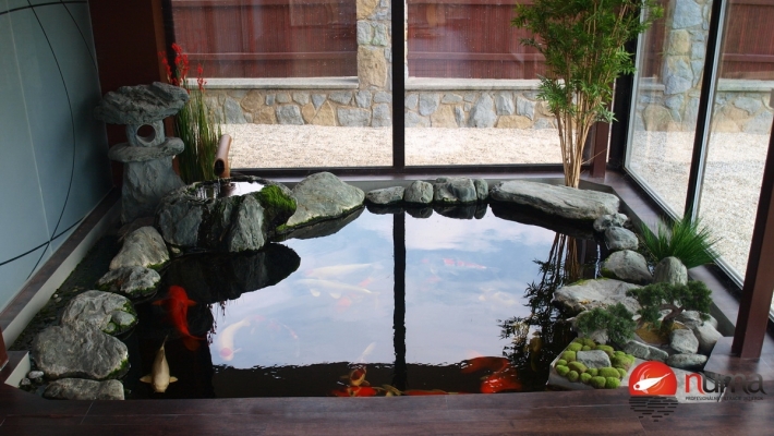 Japanese pond inside our winter garden