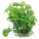 Aquarium plants