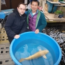 Breeder Mr. Seiki Igarashi (Igarashi Koi Farm)