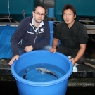 Breeder Mr. Katsuyuki Kawakami (Kawakami Koi Farm)