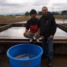 Pán Kazutaka Suda chová už od konca 60-tych rokov KOI kapre na jeho farme v Katakai prefektúry Niigata. V súčasnej dobe sa zameriava na long fin (dlhoplutvé) variety a jeho Ginrin Yamabuki majú jednu z najlepších reputácií vo svete. Jeho KOI vyhrali niekoľko celonárodných japonských výstav. Posledné roky prevzal chov KOI jeho syn. 90% produkcie exportuje za hranice Japonska.