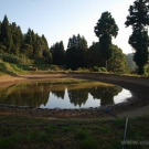 Shinoda´s pond is near his winter breeding place.