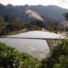 One of the nicest ponds in Niigata is wisely divided into three parts.