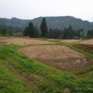 A lot of rice fields Niigata produces rice of the highest quality in the world.