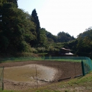Nets can prevent herons and monkeys to get to Koi carps in pond.