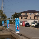 Koi carps flags on the way to farm of Mr. Choguro.