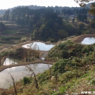 World famous Niigata ponds.