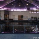 Museum Koi carp interior – Nishikigoi-no-sato in Ojiya town.