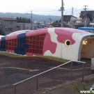 Subway in shape of Koi carp at the Ojiya station.