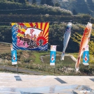 Tradičné japonské vlajky s motíami KOI.