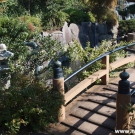 Traditional Japanese small bridge over the lake.