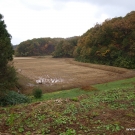 obrovské ryžové pole je zavlažované prepadom z najväčšieho rybníka pána Hirasawu