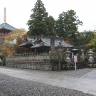 Ďalší chrám obklopený japonskými lampami rôznych typov.