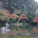 Záhrada Naritasan Shinshoji Temple hraje všetkými farbami jesene.