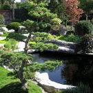 Garden with pond in japan style.