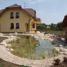 Pond with Koi carps in Tornala in Slovakia.